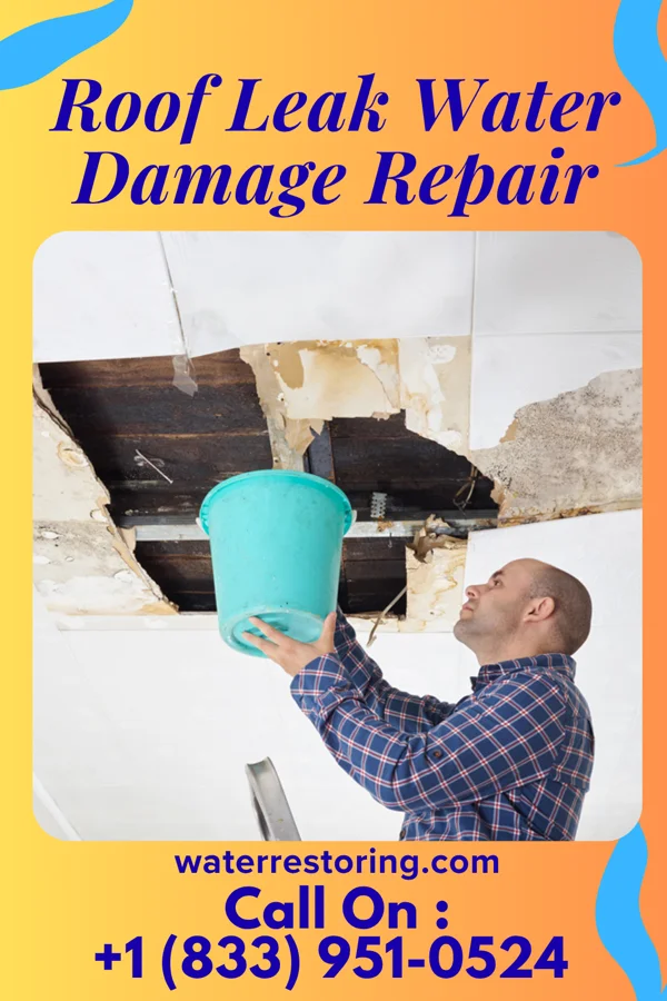 Roof Leak Water Damage Repair in Bennet, NE